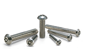 Tamper Resistant Screws